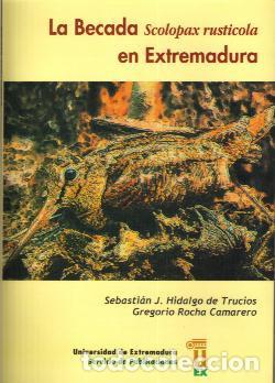 Libros antiguos: BECADA, SCOLOPAX RUSTICOLA. EN EXTREMADURA, LA - Foto 1