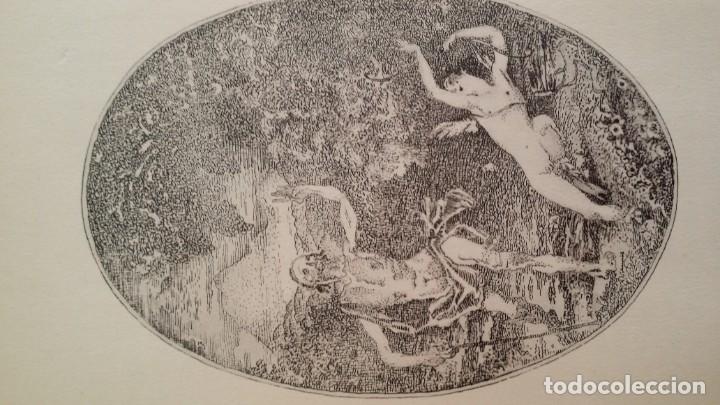 Libros antiguos: Daphnis y Chloe, 1918 - Foto 7