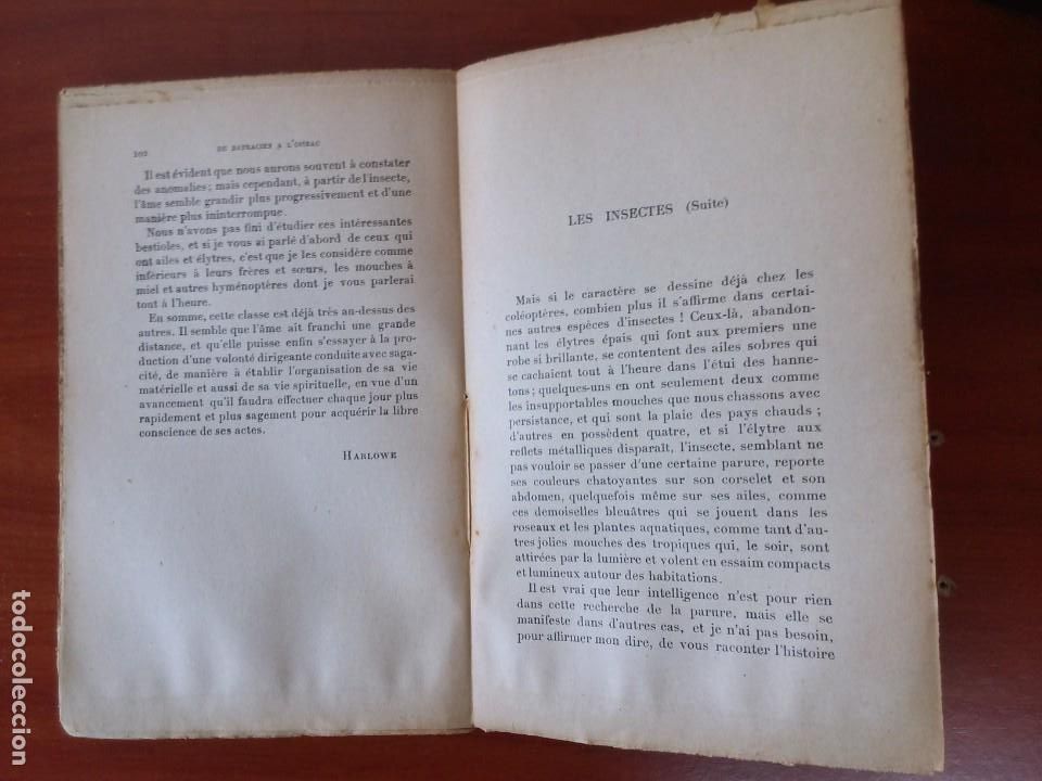 Libros antiguos: La gen&egrave;se de lame. Ch. dOrino - Foto 2