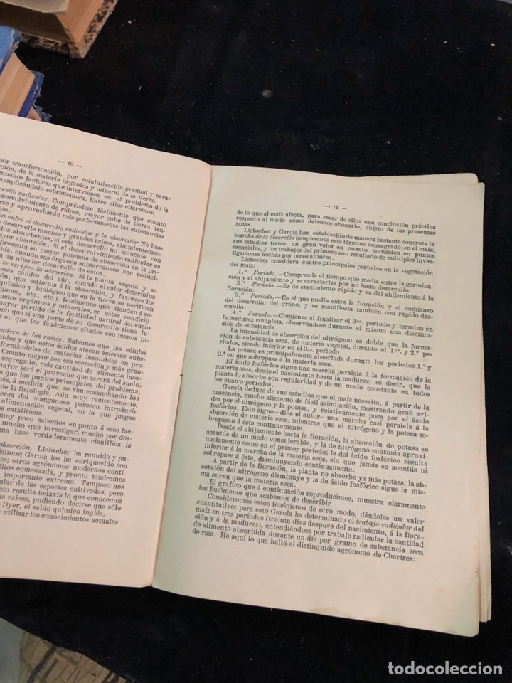 Libros antiguos: Como debe abonarse el ma&iacute;z - Foto 6