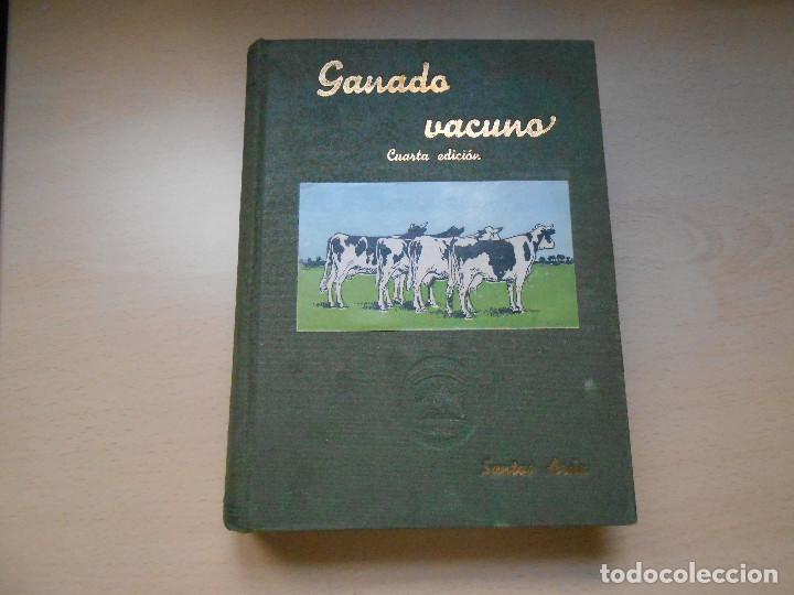 Libros antiguos: GANADO VACUNO - CUARTA EDICI&Oacute;N - SANTOS AR&Aacute;N - - Foto 1