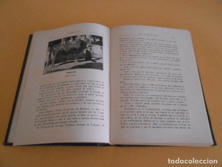 Libros antiguos: GANADO VACUNO - CUARTA EDICI&Oacute;N - SANTOS AR&Aacute;N - - Foto 4