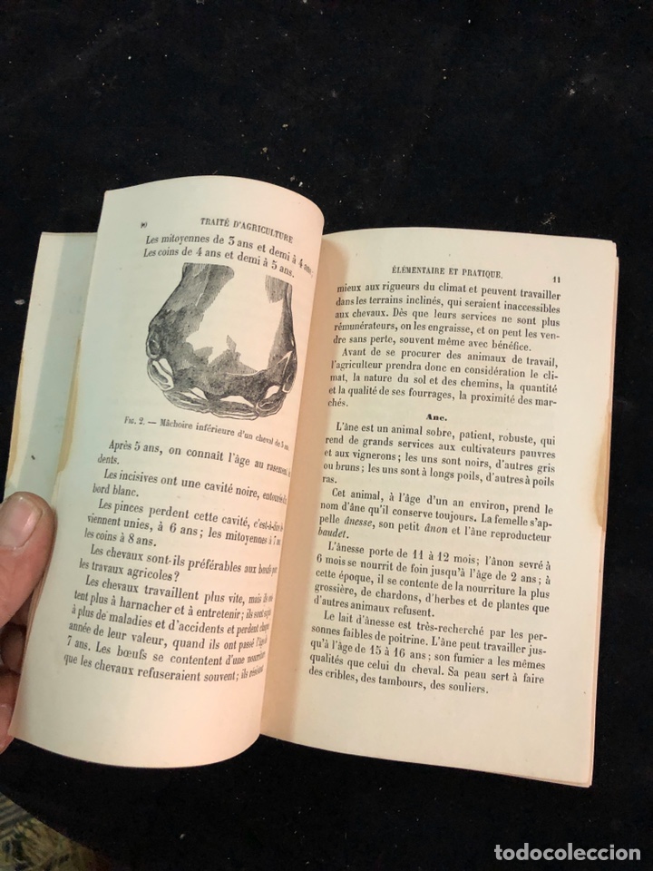 Libros antiguos: Tratado de agricultura elemental y pr&aacute;ctica - Foto 3