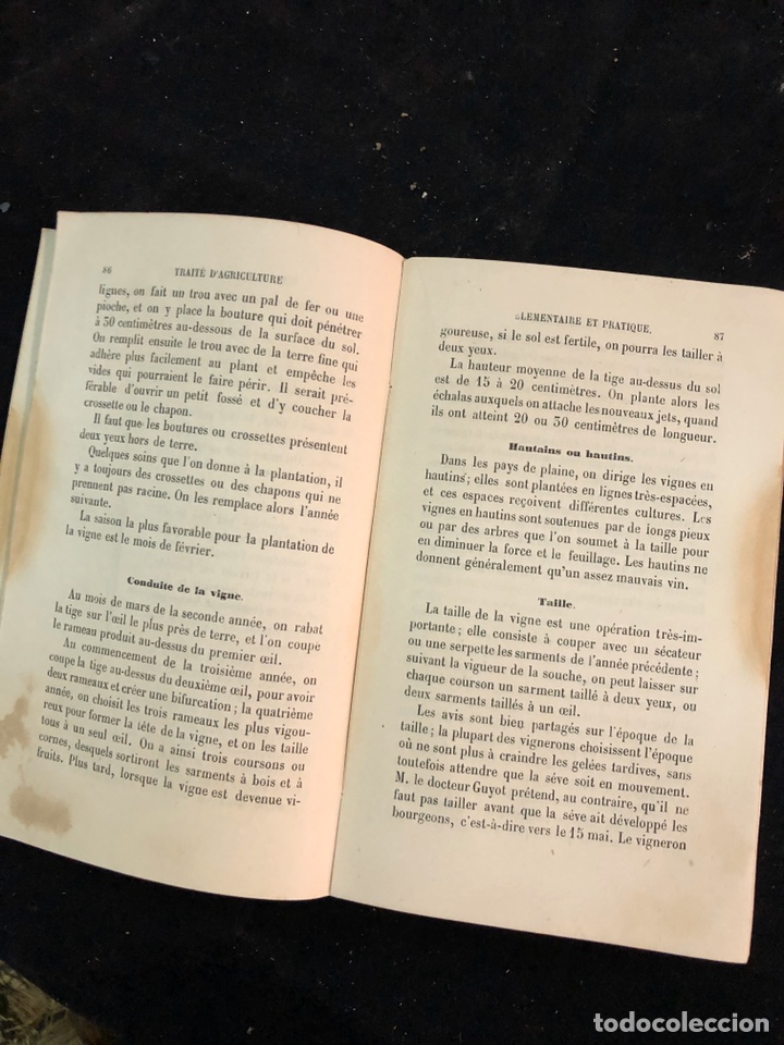 Libros antiguos: Tratado de agricultura elemental y pr&aacute;ctica - Foto 4