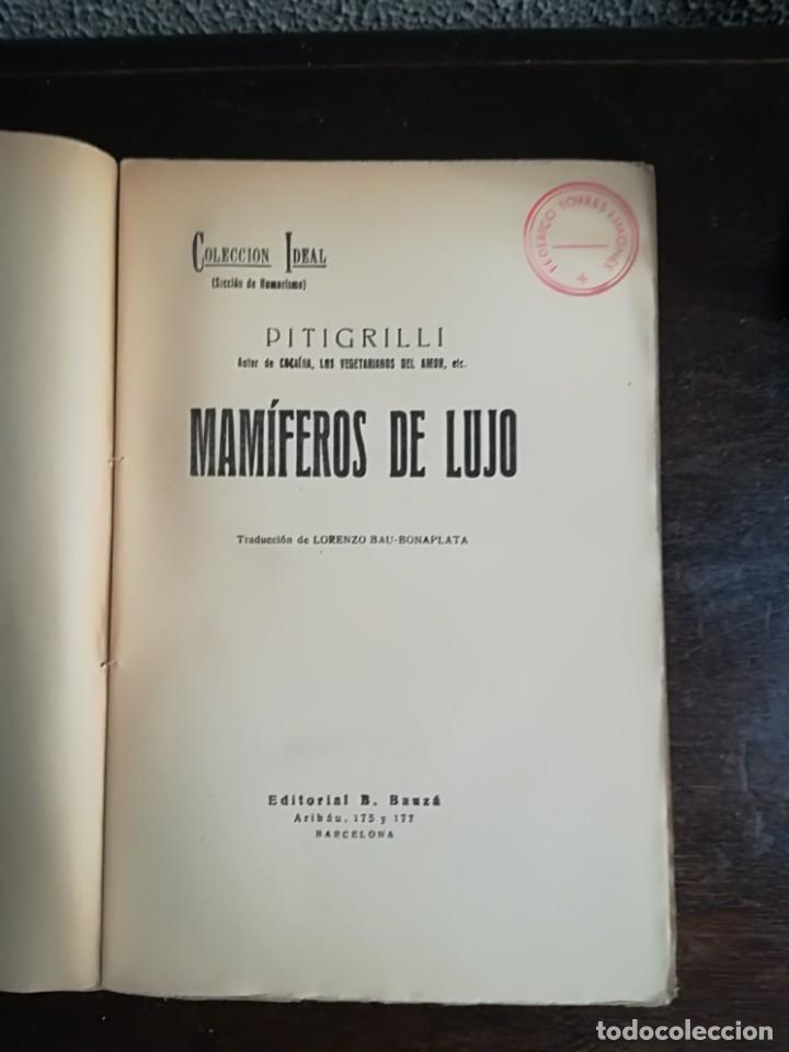 Libros antiguos: Mam&iacute;feros de lujo - PITIGRILLI. 1927 - Foto 5