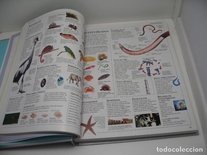 Libros antiguos: EL GRAN LIBRO DE CONSULTAS, EL PA&Iacute;S/ALTEA - Foto 4