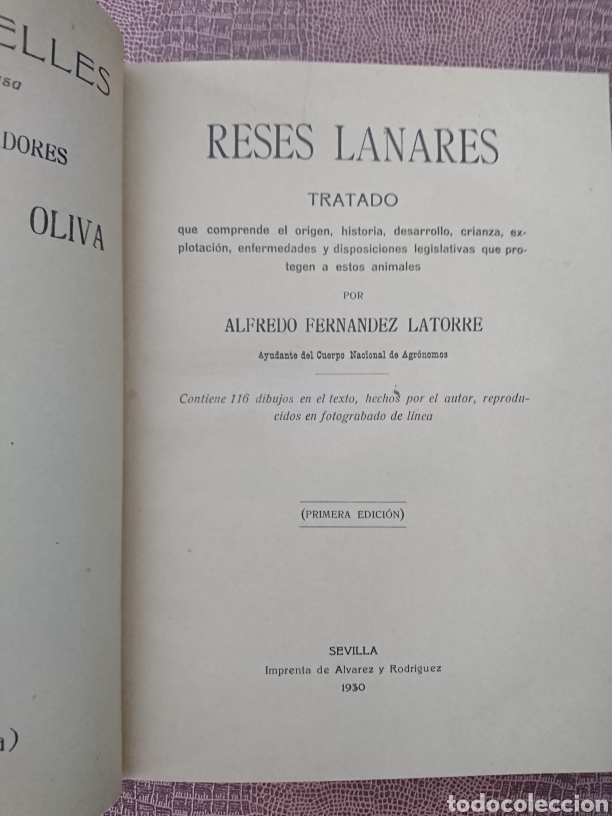 Libros antiguos: Reses lanares - Foto 1