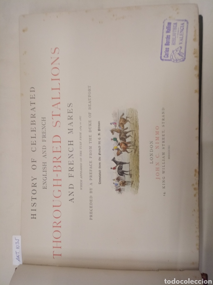 Libros antiguos: RACE HORSES THOROUGH-BRED STALLIONS - Foto 2