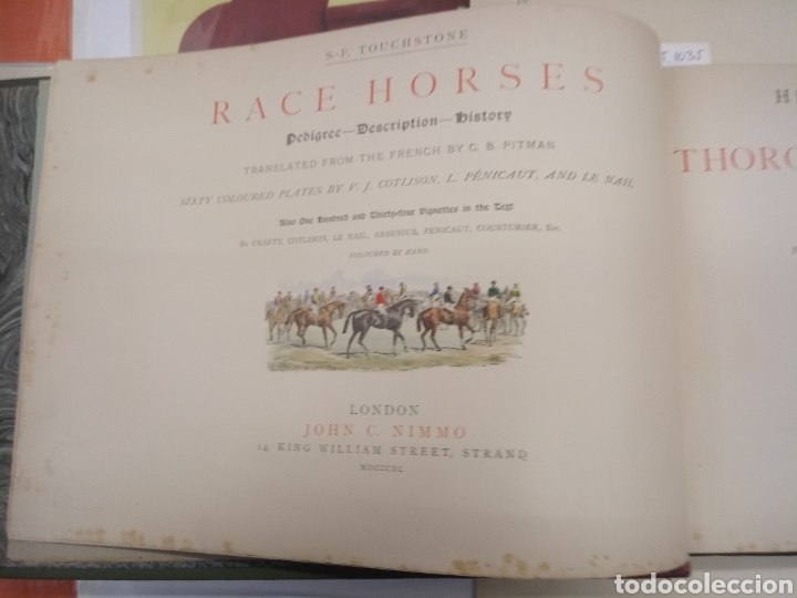 Libros antiguos: RACE HORSES THOROUGH-BRED STALLIONS - Foto 3