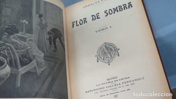 Libros antiguos: FLOR DE SOMBRA. FOLEY. CALLEJA - Foto 2
