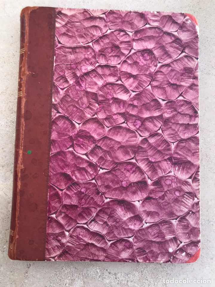 Libros antiguos: Libro Brasil antiguo - Foto 1