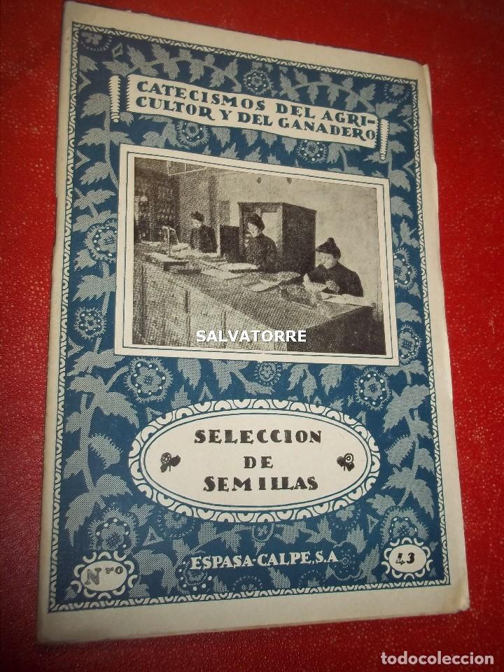 Libri antichi: CATECISMOS DEL AGRICULTOR Y GANADERO.SELECCION DE SEMILLAS.ESPASA CALPE 43