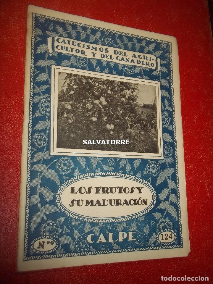 Libri antichi: CATECISMOS DEL AGRICULTOR Y GANADERO.LOS FRUTOS Y SU MADURACION. ESPASA CALPE 124