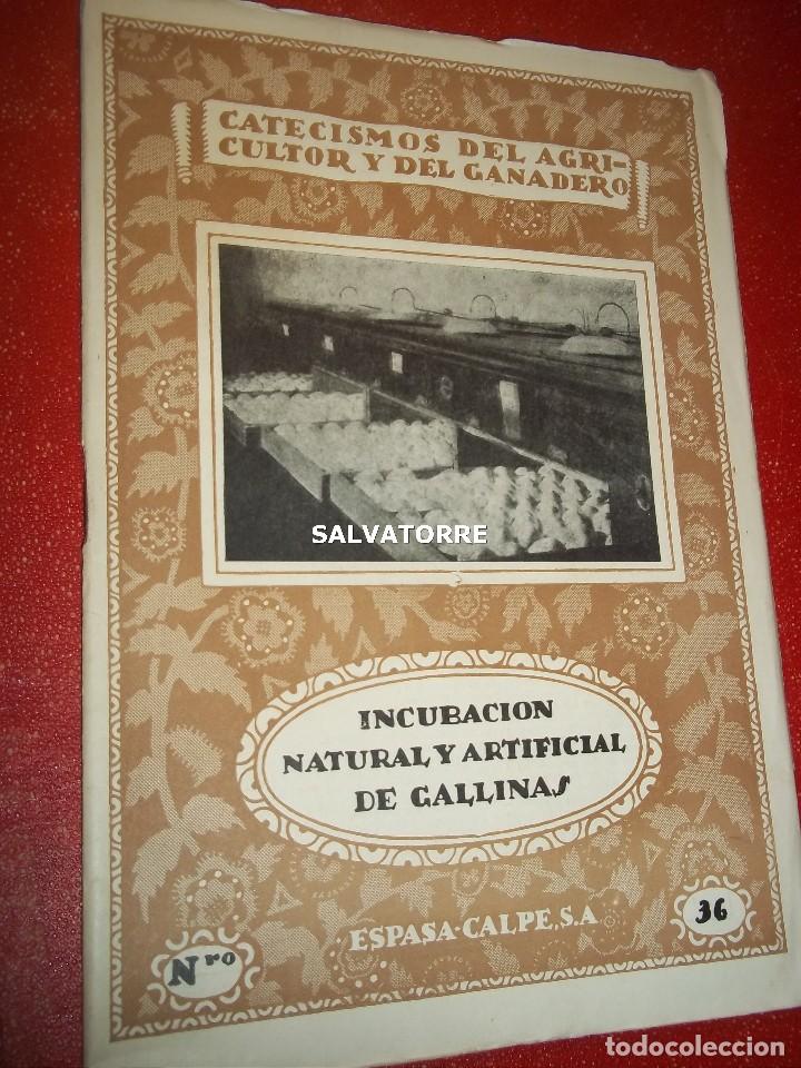Libri antichi: CATECISMOS DEL AGRICULTOR Y GANADERO.INCUBACION NATURAL Y ARTIFICIAL DE GALLINAS.36.ESPASA CALPE