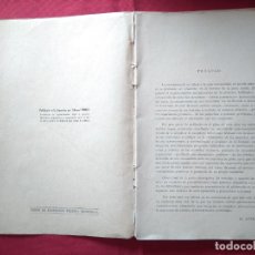 Libros antiguos: JUGUETES DE PAÑO - EDITORIAL HOBBY, AÑOS 50 - LIBRO CON PATRONES, ETC.. PARA FABRICAR JUGUETES....