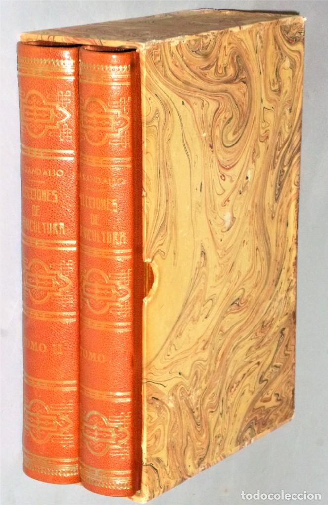 Libros antiguos: LECCIONES DE AGRICULTURA. 2 TOMOS - Foto 14