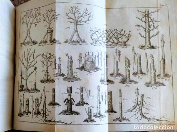 Libros antiguos: LECCIONES DE AGRICULTURA. 2 TOMOS - Foto 8