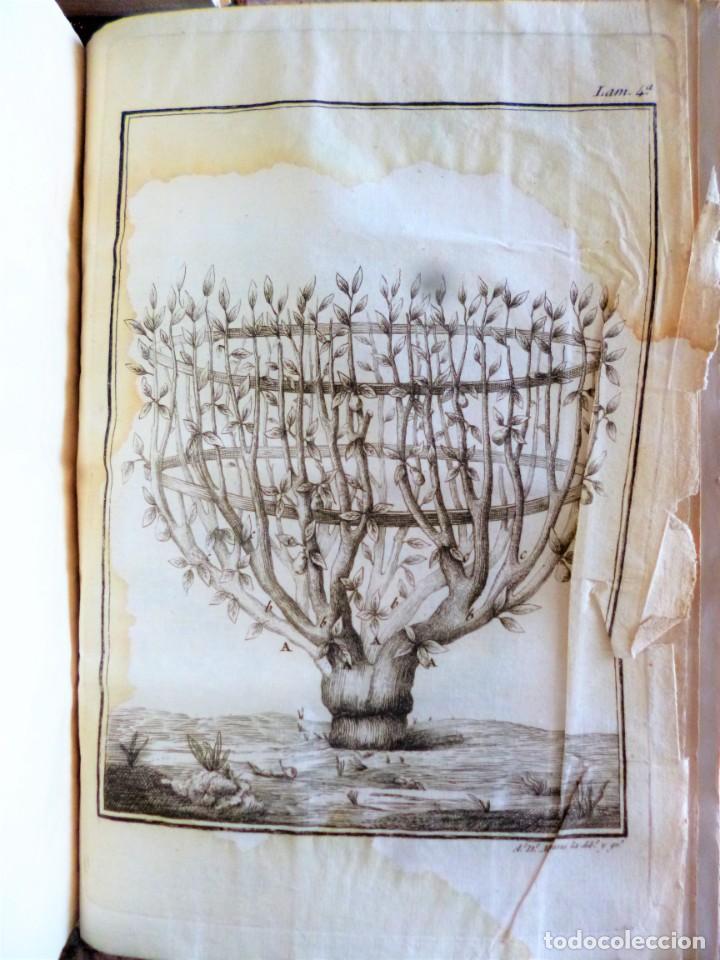 Libros antiguos: LECCIONES DE AGRICULTURA. 2 TOMOS - Foto 11