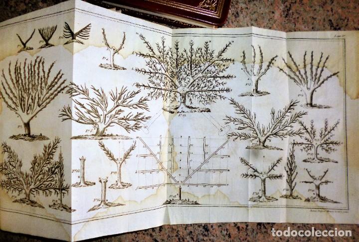 Libros antiguos: LECCIONES DE AGRICULTURA. 2 TOMOS - Foto 12