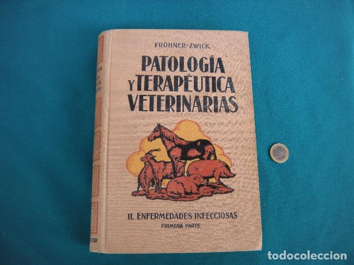 Antiquarische B&uuml;cher: PATOLOG&Iacute;A Y TERAPE&Uacute;TICA VETERINARIA. FR&Ouml;HNER ZWICK. 1932 TOMO II