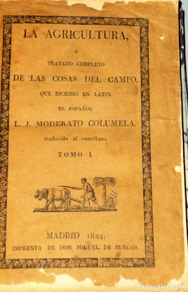 los doce libros de agricultura. 2 tomos - Comprar en todocoleccion ...