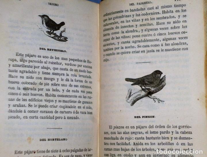 Libros antiguos: TESORO DE LA CACER&Iacute;A - Foto 19