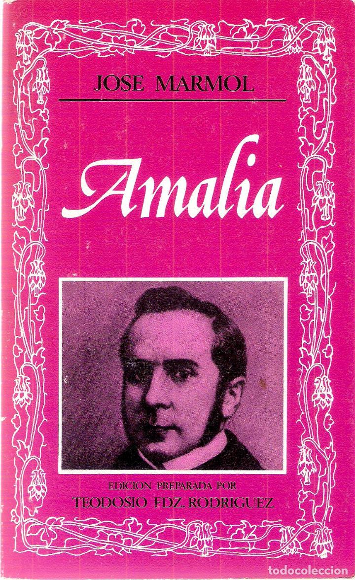 Libros antiguos: AMALIA - JOSE MARMOL - Foto 1