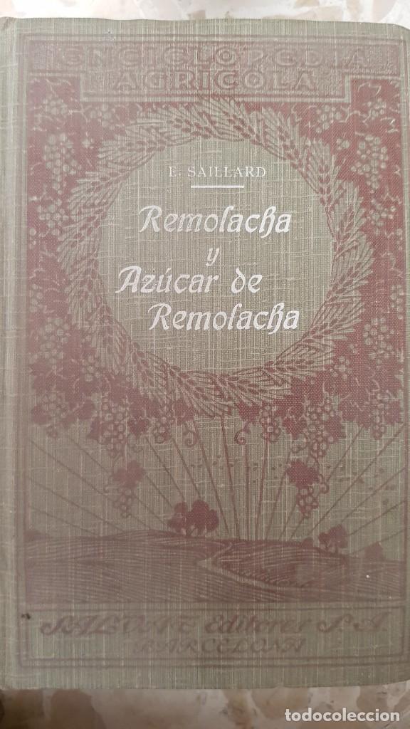 Libros antiguos: Remolacha y az&uacute;car de remolacha - Foto 1