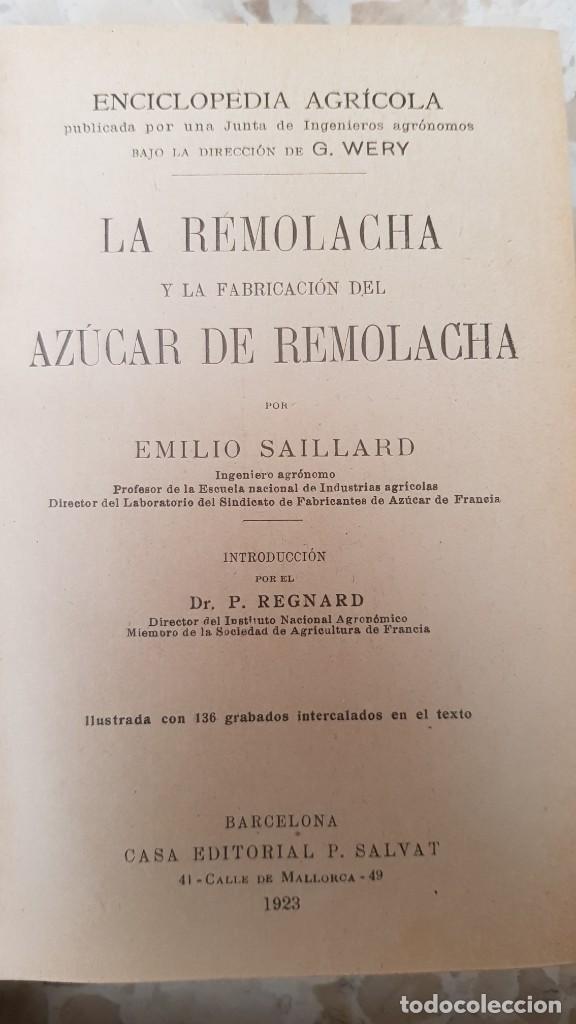 Libros antiguos: Remolacha y az&uacute;car de remolacha - Foto 2