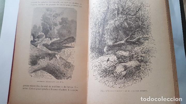 Libros antiguos: Les Enchantements de la Foret. - Theuriet, André - Foto 4 - 212245655