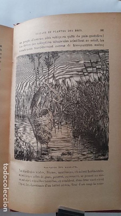 Libros antiguos: Les Enchantements de la Foret. - Theuriet, André - Foto 5 - 212245655