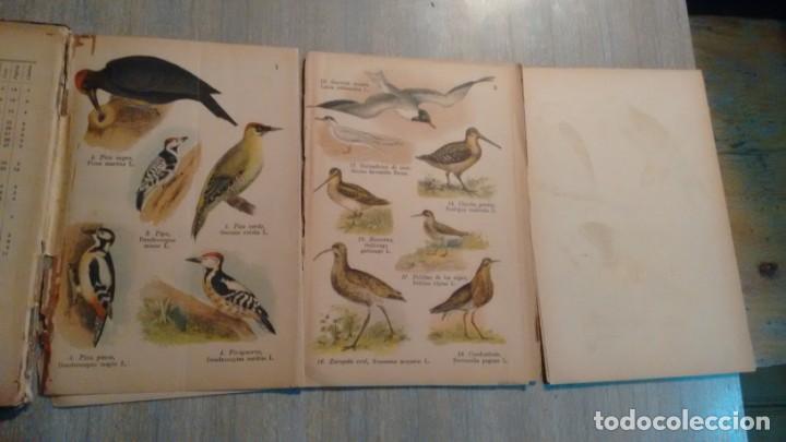 Libros antiguos: ATLAS DE BOLSILLO - AVES - - Foto 2