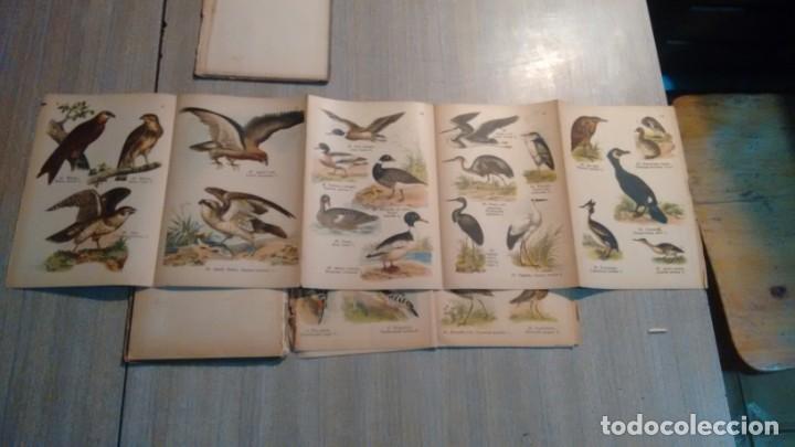 Libros antiguos: ATLAS DE BOLSILLO - AVES - - Foto 3