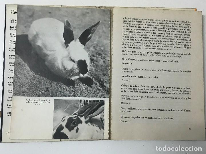 Libros antiguos: Mar&iacute;o Vaccaro. Cr&iacute;a moder de los Conejos, manual pr&aacute;ctico. - Foto 6