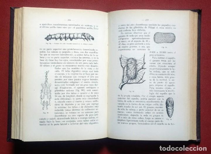 Libros antiguos: MATERIAS TEXTILES - DANIEL BLANXART - 1935 - Foto 4