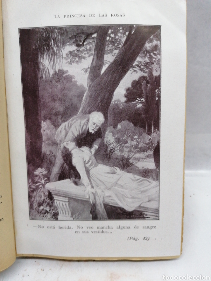 Libros antiguos: La princesa de las rosas - Foto 3