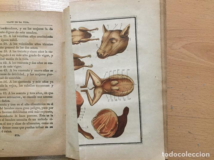 Libros antiguos: EL LIBRO DE LA FAMILIAS COCINA 1889 - Foto 3