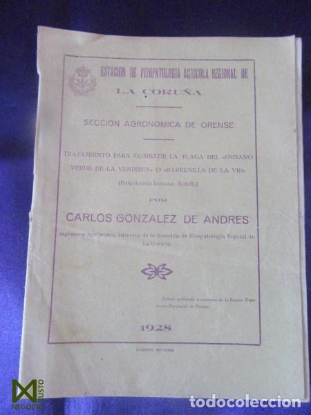 Livres anciens: GALICIA. OURENSE. TRATAMIENTO PARA COMBATIR LA PLAGA DEL GUSANO VERDE DE LA VENDIMIA. 1928