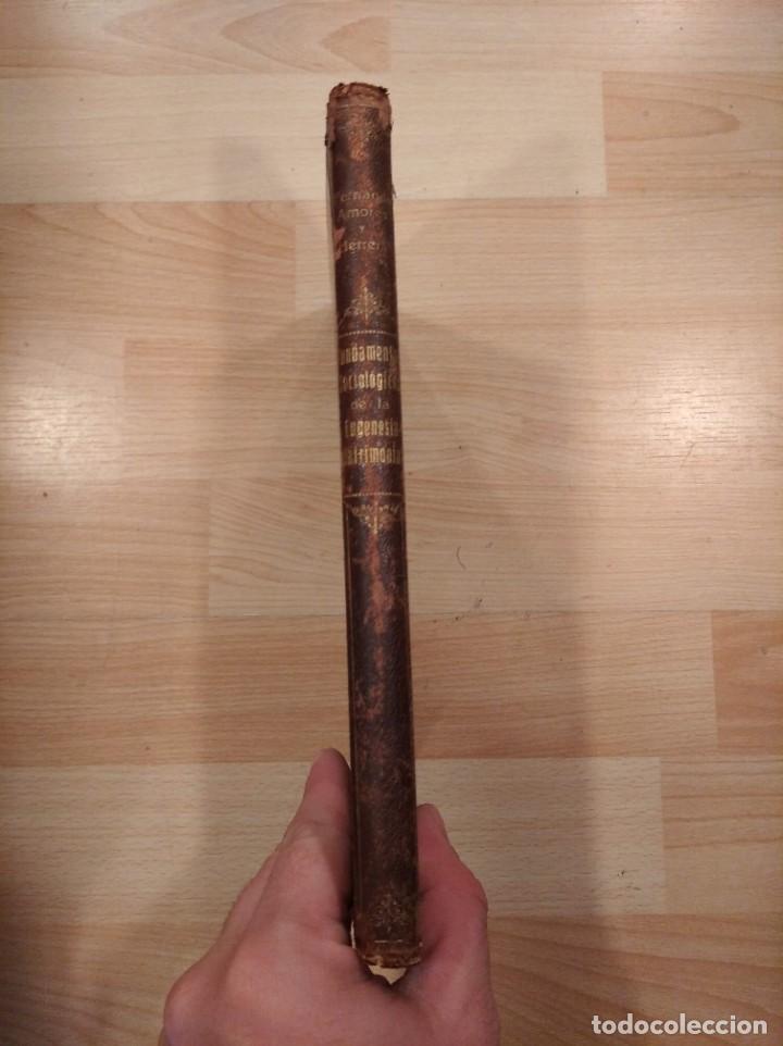 Antiquarische B&uuml;cher: 'Fundamentos sociol&oacute;gicos de la eugenesia matrimonial'. Fernando Amores. 1928