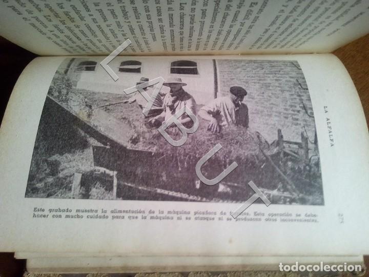 Antiquarische B&uuml;cher: LA ALFALFA WALDEMAR MARTINEZ PINTOS SELLO EULOGIO DE LAS HERAS SEVILLA 1945 CM6