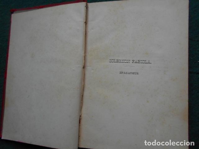 Libros antiguos: LOS MARTIRES DE LY&Oacute;N EPAGATHUS 1876 - Foto 5