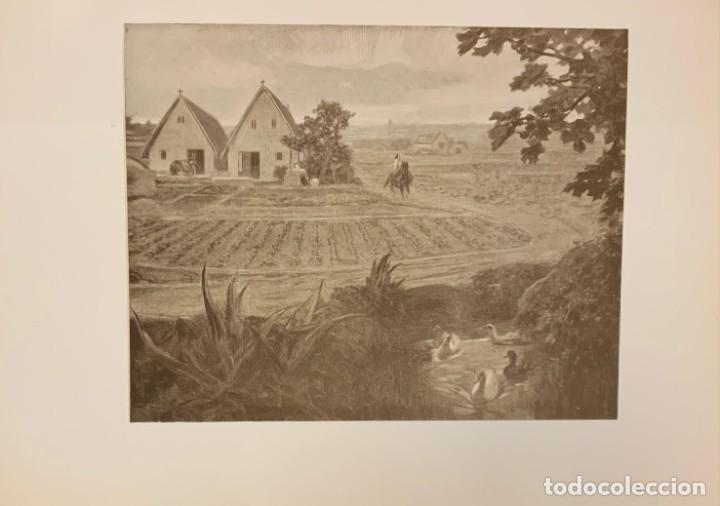 Libros antiguos: LA BARRACA. VICENTE BLASCO IBA&Ntilde;EZ - Foto 6