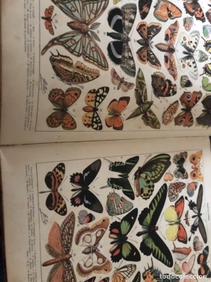 Libros antiguos: Libro de posible enciclopedia laorousse 1900 aprox - Foto 14