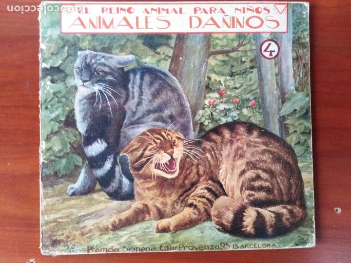 Libros antiguos: Animales da&ntilde;inos. 4. - Foto 1
