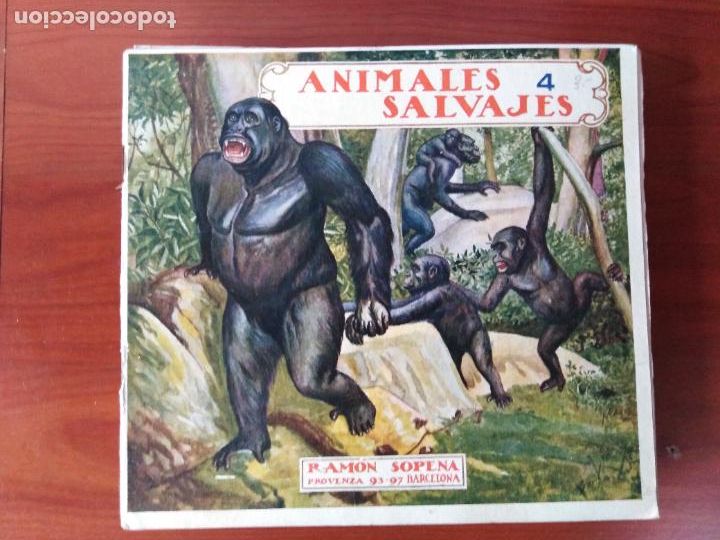 Libros antiguos: Animales salvajes 4. - Foto 1