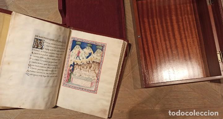 Libros antiguos: De Balneis Puteoli (Pietro da Eboli) - Foto 1