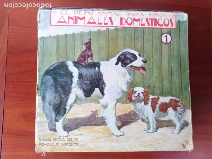 Libros antiguos: Animales dom&eacute;sticos. 1 - Foto 1
