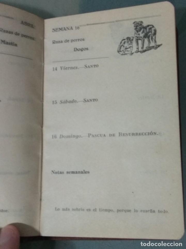 Libros antiguos: ALMANAQUE ESCOLAR BASTINOS 1933 - LIBRO. - Foto 5