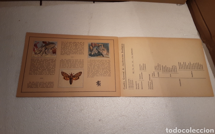 Libros antiguos: Libro Trabajos manuales sin Taller. - Foto 8