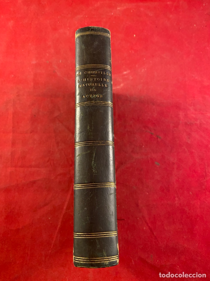 Livros antigos: L&rsquo;Histoire naturelle en action 1879
